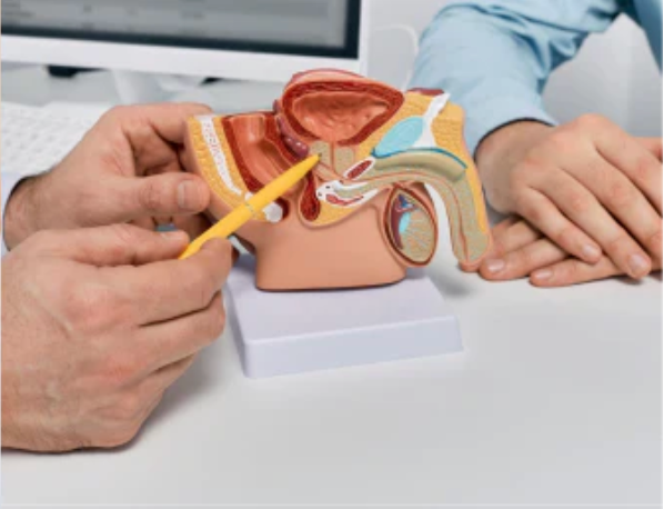 Supporting medical image 2